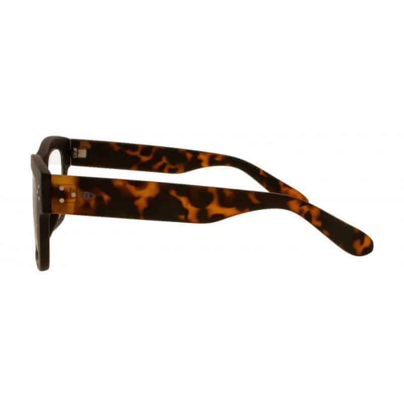 Noci Eyewear leesbril Rumble 301
