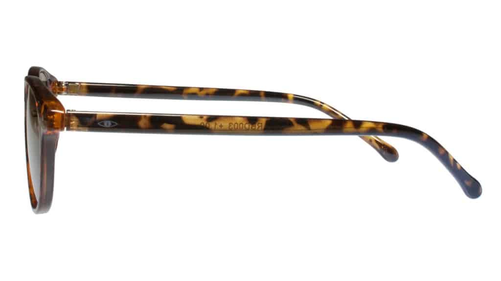 Noci Eyewear zonneleesbril Boston 003
