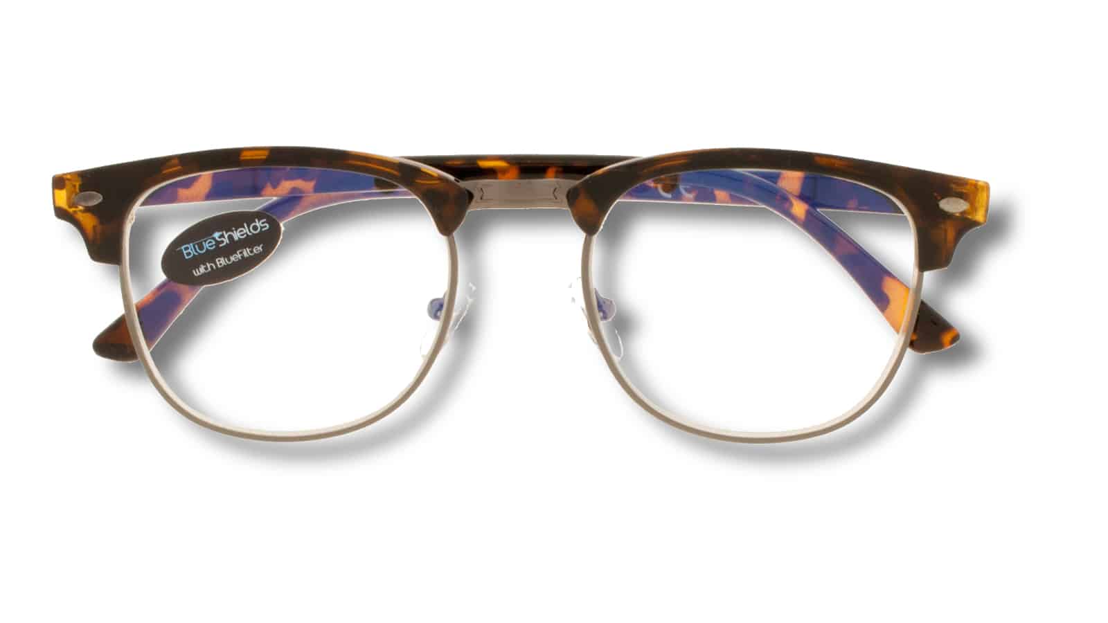 Blueshields Bobby 211