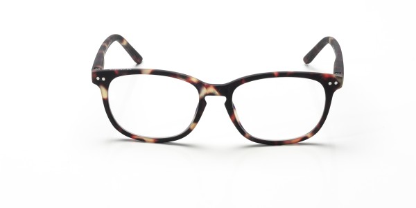 Blueberry Model XL zonder sterkte Tortoise +0.00_image_1