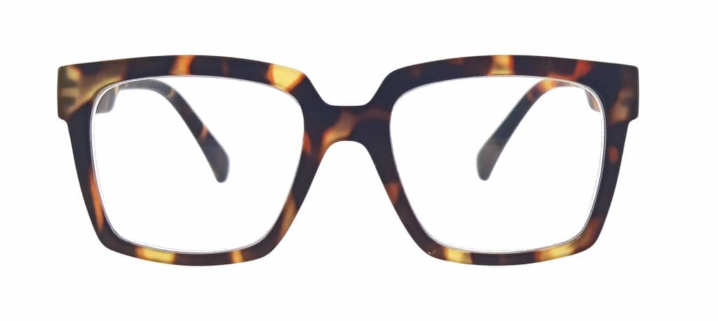 Noci Eyewear leesbril Remo 031