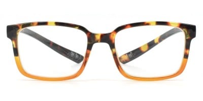 Montana Eyewear leesbril MNR2