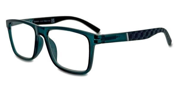 BlueShields Agelli Computerbril 028_image_1